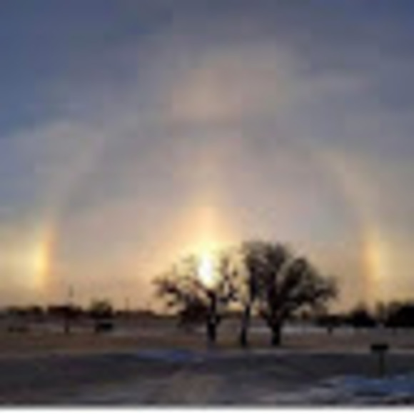 Meet your Posher, Ember - Picture 1 of 1